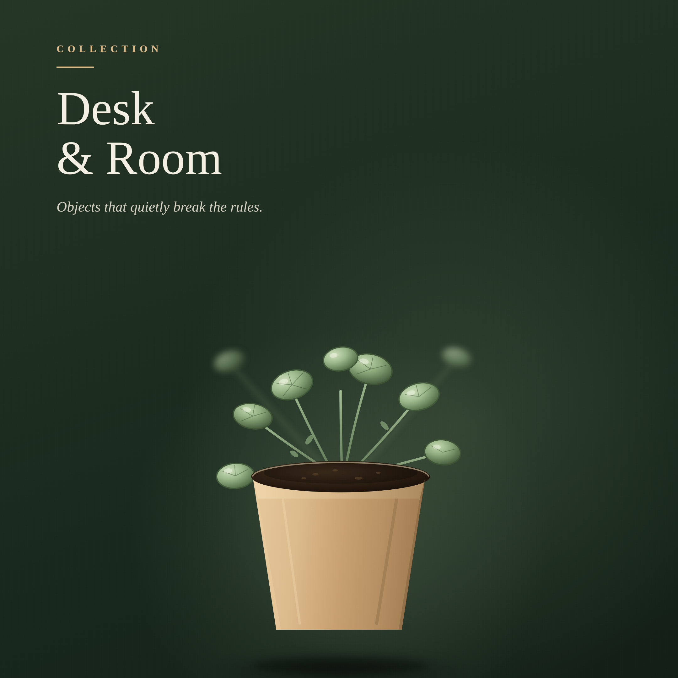 Desk & Room