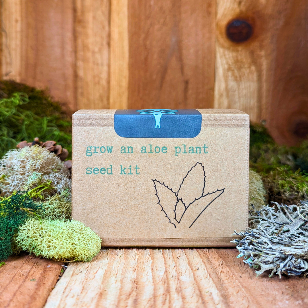 Aloe Plant Grow Kit – Seed Growing Set for Beginners & Gift