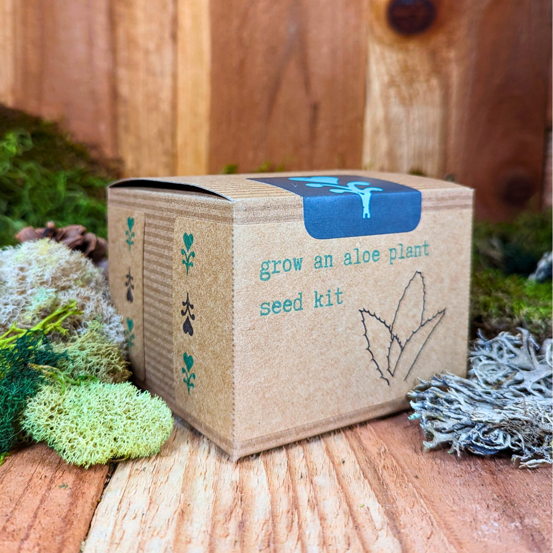 Aloe Plant Grow Kit – Seed Growing Set for Beginners & Gift