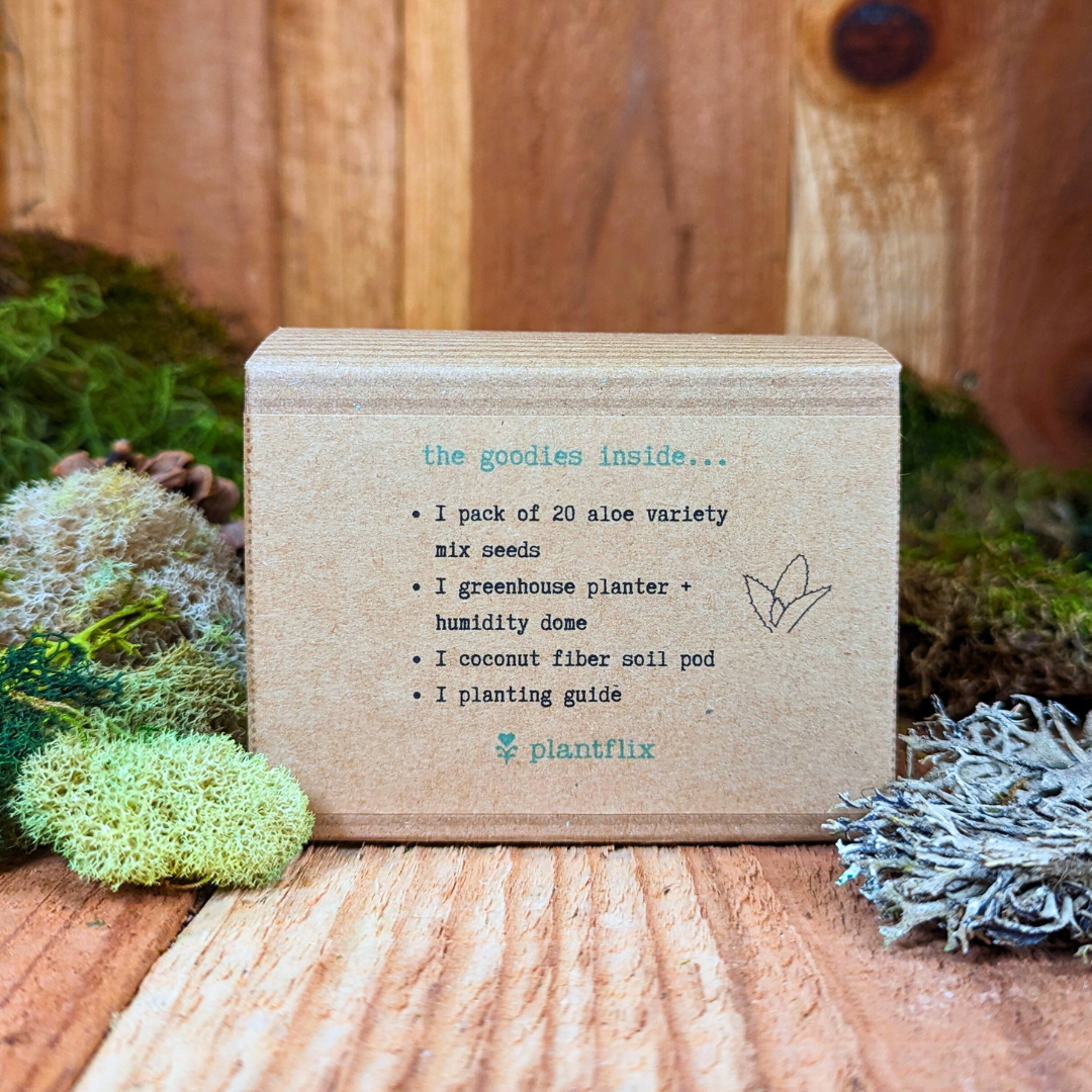 Aloe Plant Grow Kit – Seed Growing Set for Beginners & Gift
