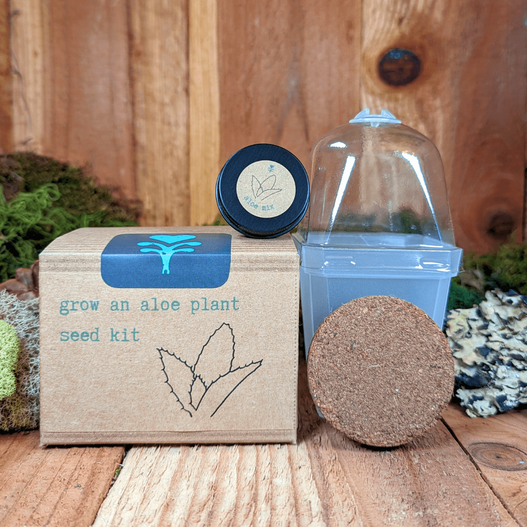 Aloe Plant Grow Kit – Seed Growing Set for Beginners & Gift